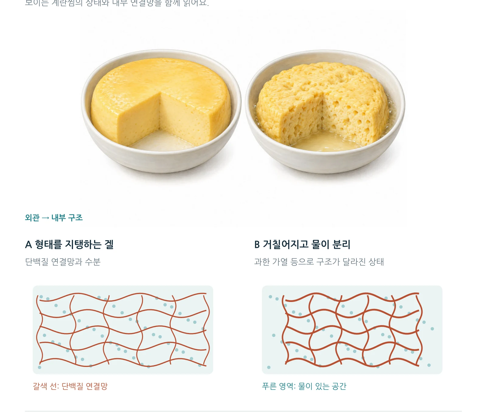 계란의 가열과 물을 붙잡는 조직 · 본책 66쪽 발췌